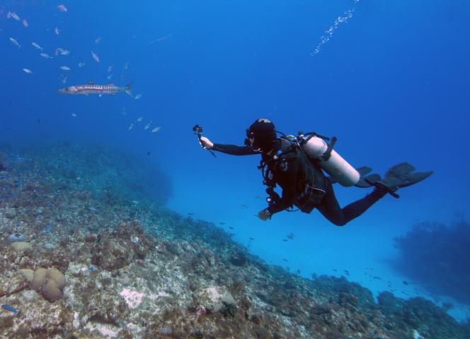 Plongée sous-marine