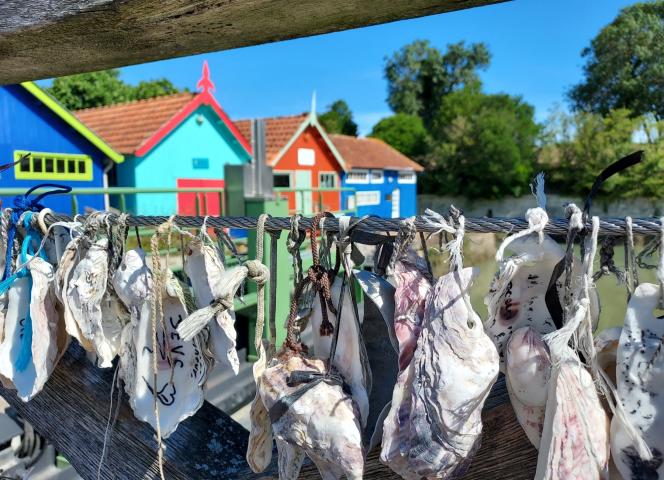 huitres-marennes-oleron
