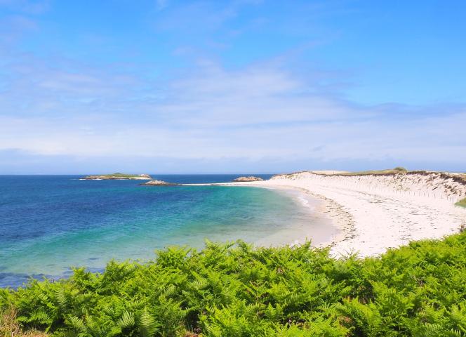 Îles des Glénan