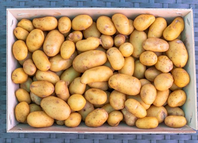 spécialités île de ré