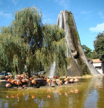 Zoo de La Palmyre en Charente-Maritime