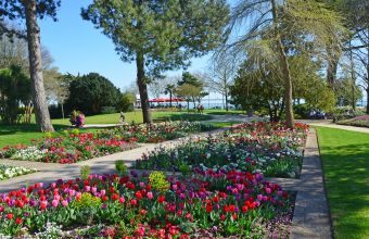 Visite jardin des plantes camping de L'Eve