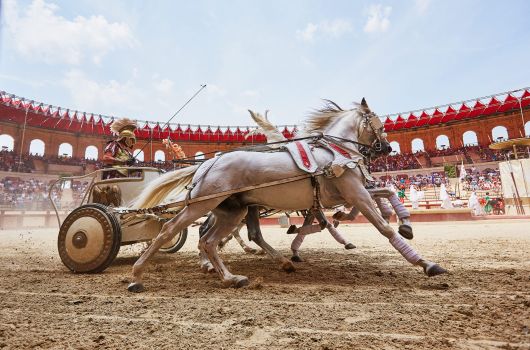 Visite Puy du Fou®