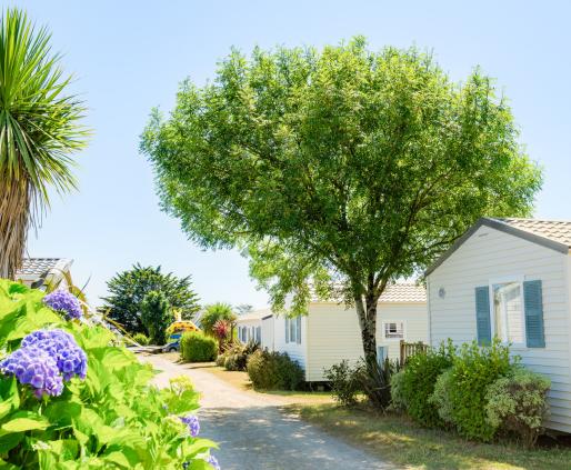 camping baie d'audierne