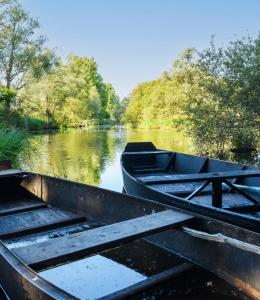 Marais de la Brière